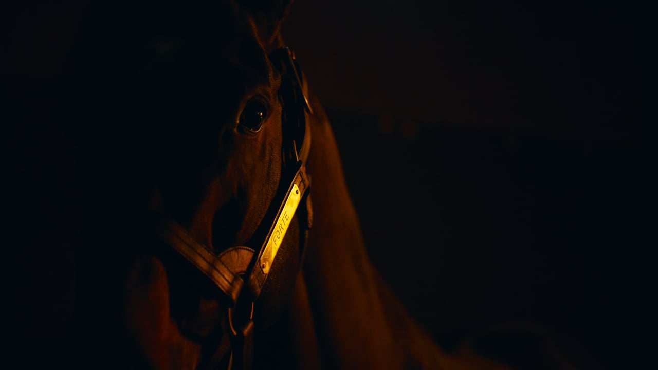 Forte - A Champion Forged