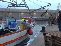 L'Escala participa a la trobada euroregional Cooperar per Transformar