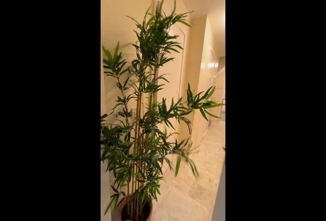 Newly Renovated 6-Bedroom House (HMO) Main Photo