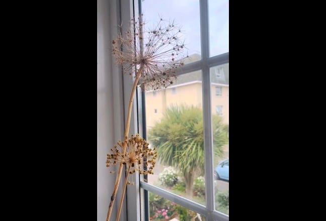 Single bedroom in 4-bedroom house, NICE, QUIET Main Photo