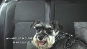 Related Embedded Video Item Thumbnail