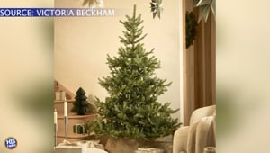 A Lazy Christmas Tree