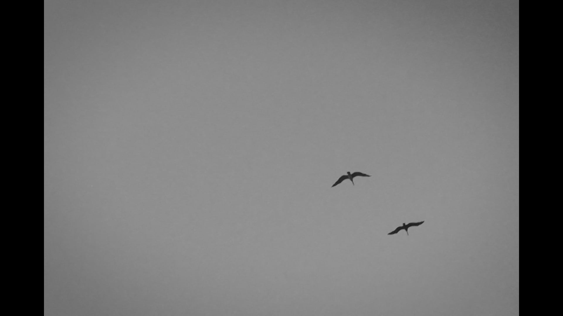 TEASER MARCIA & GUSTAVO - CASA MALCA