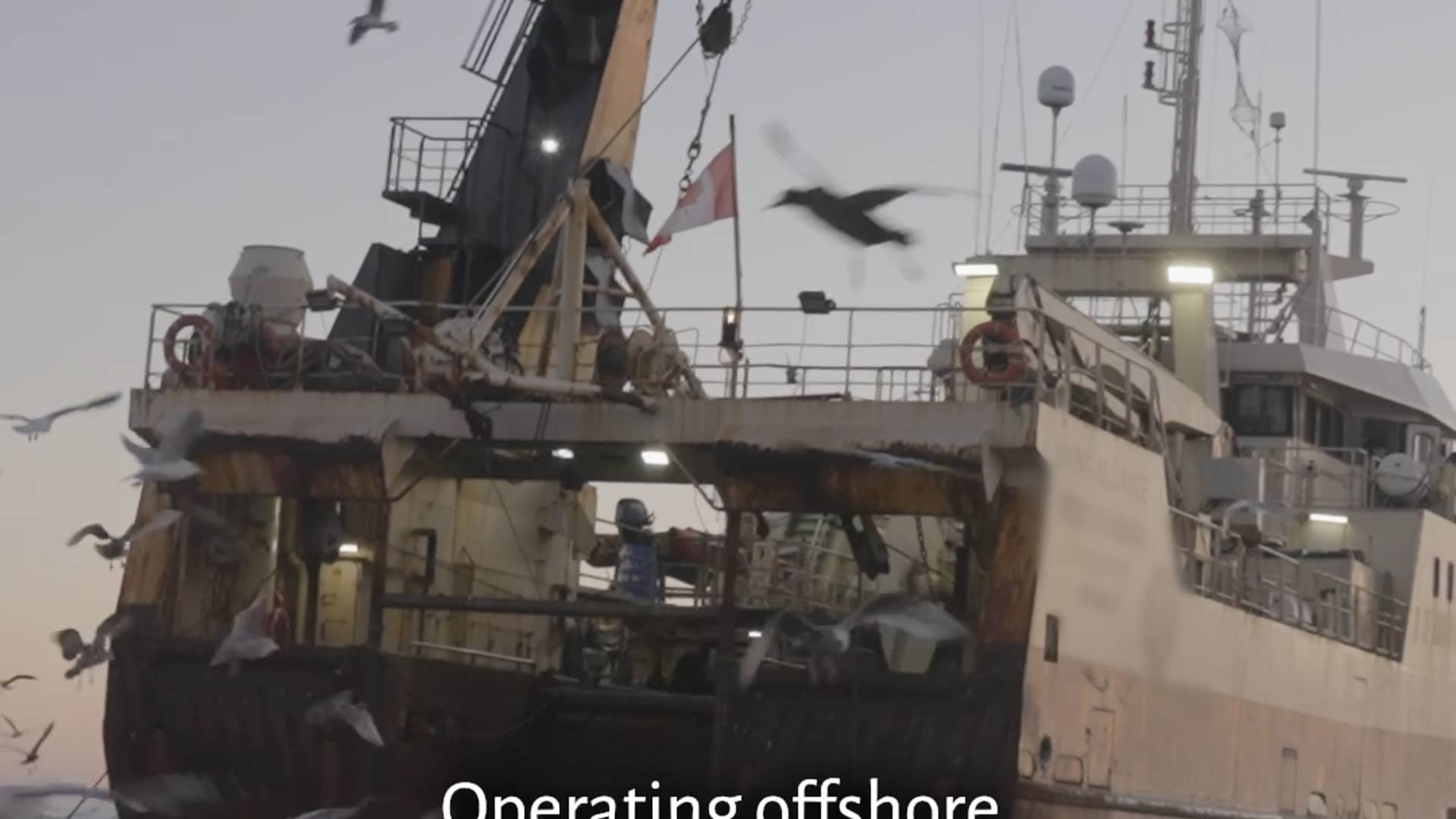 Bottom Trawling