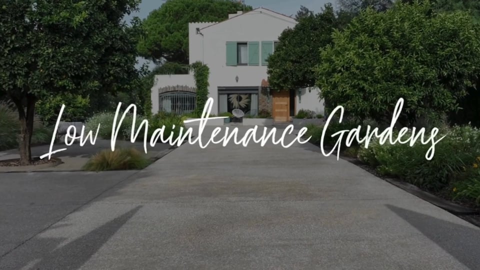 Low Maintenance and Minimalist Garden Design:The Modern Surrey Garden Trend Taking Over