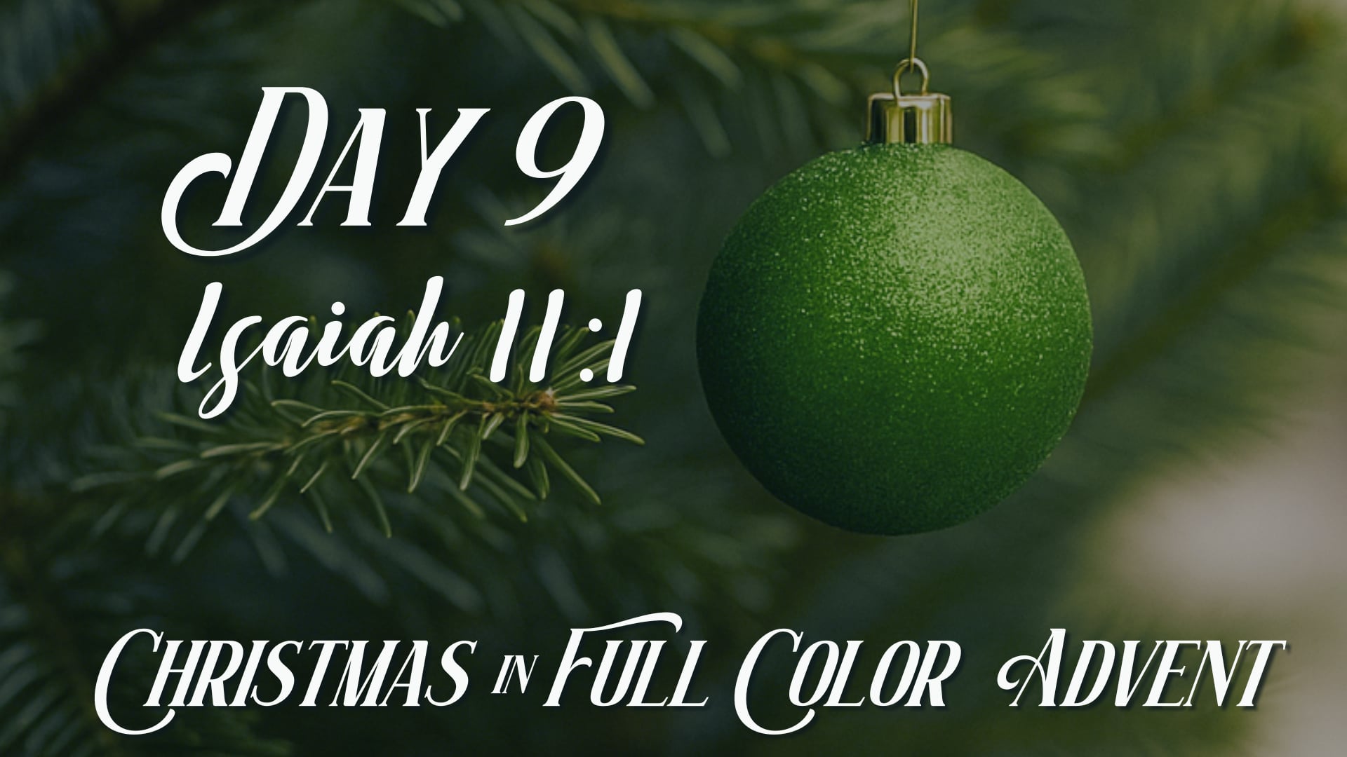 Advent Day 9 | December 8th
