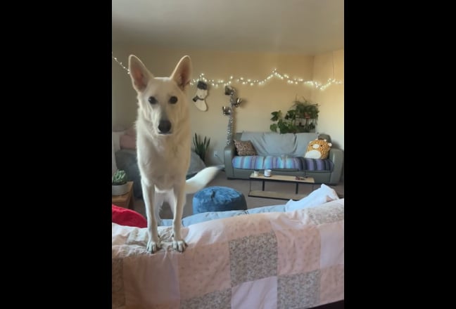 ISO Roommate-Private Basement Space Available Main Photo