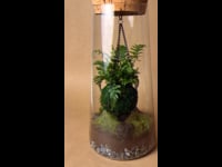 BEA155AA-D0BA-4292-A014-0558F08E5E2F