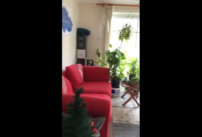 Large single room in large Guildford house Main Photo