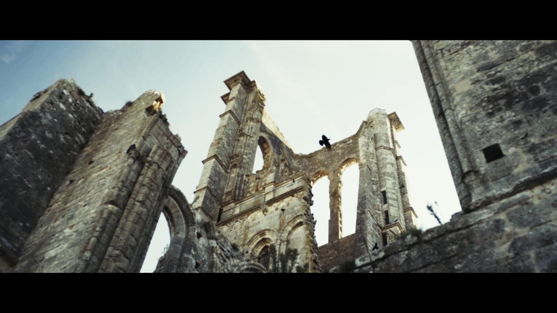 Castle X Fontainebleau