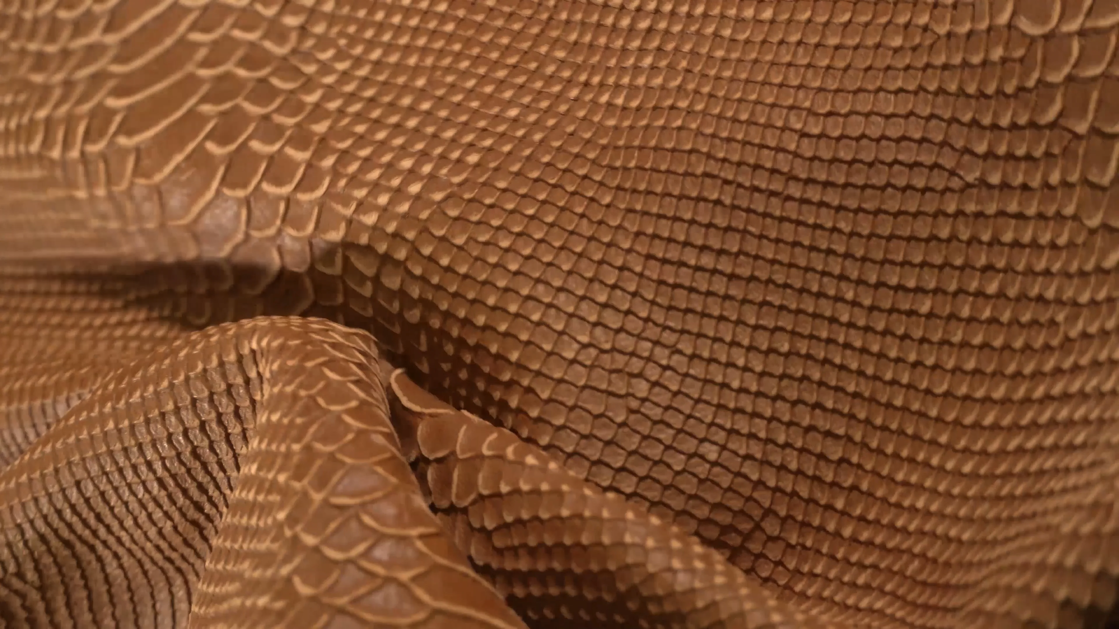 Sofia Snake Embossed Lambskin - Premium Leather Cowhide 