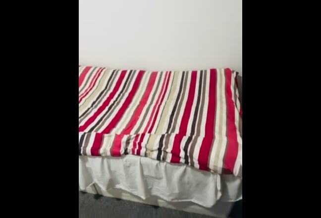 Single Room Available  Main Photo