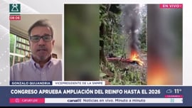 Entrevista a Gonzalo Quijandria en Canal N