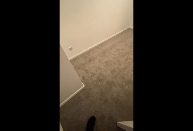 Two-bedroom newly refurbished  Main Photo