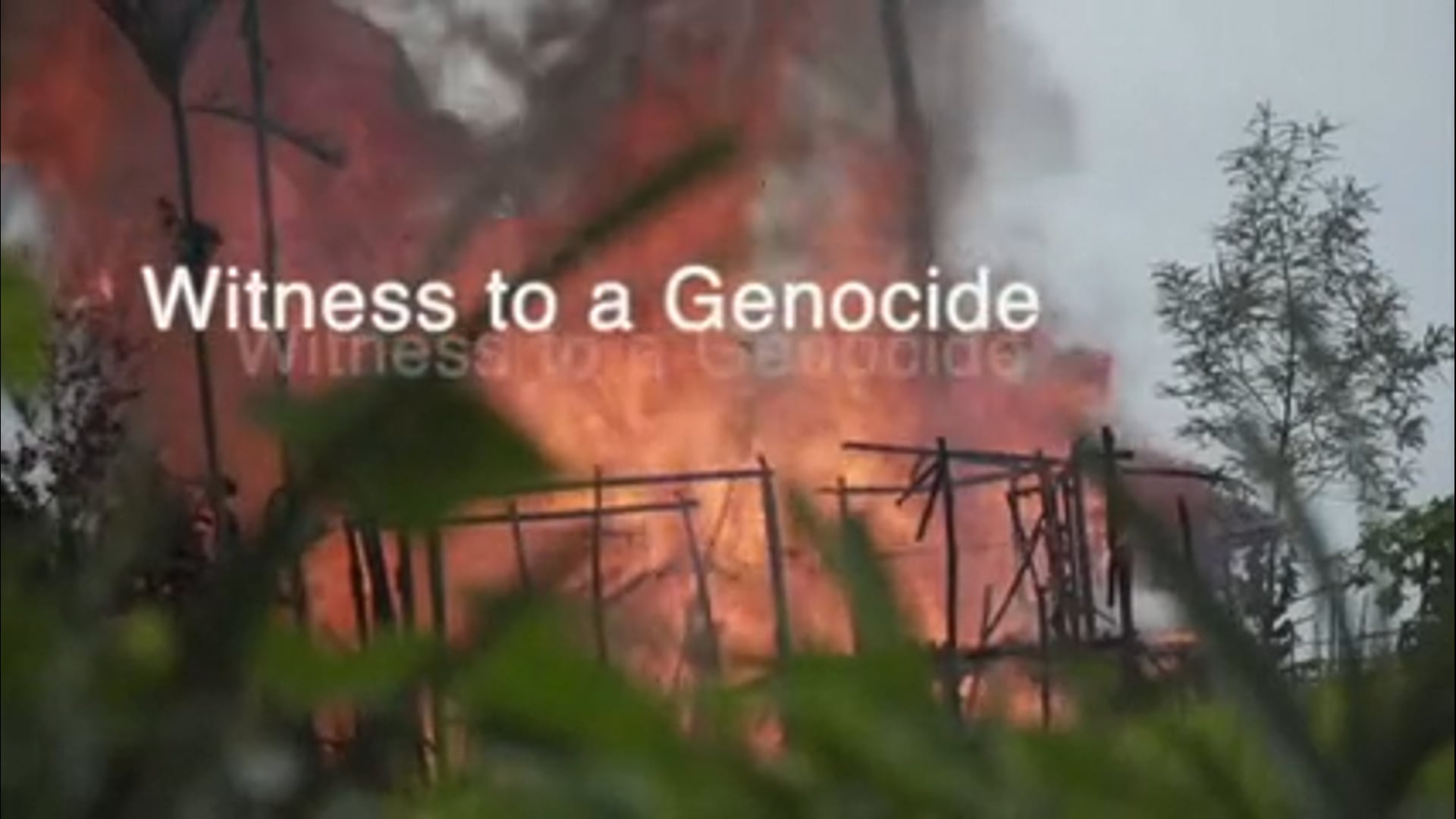 Witness to a genocide : A visual summary of the book