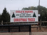 Cole's Farms Christmas Trees - Knightdale, NC