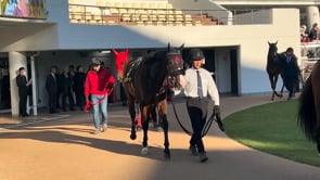 動画サムネイル