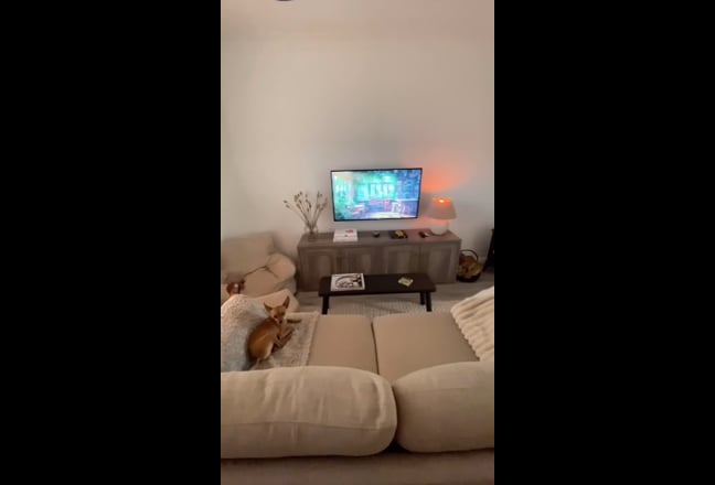 All inc. Dbl, Parking, Garden 🏠 Shared W/ 1🚺&🐶 Main Photo