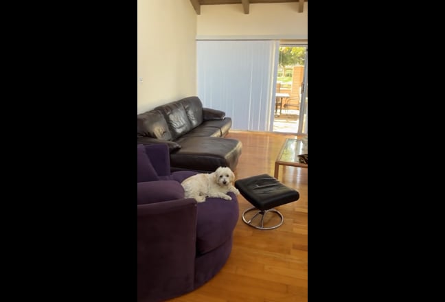 Private Room in IRVINE Only  Not Renting to LA  Main Photo