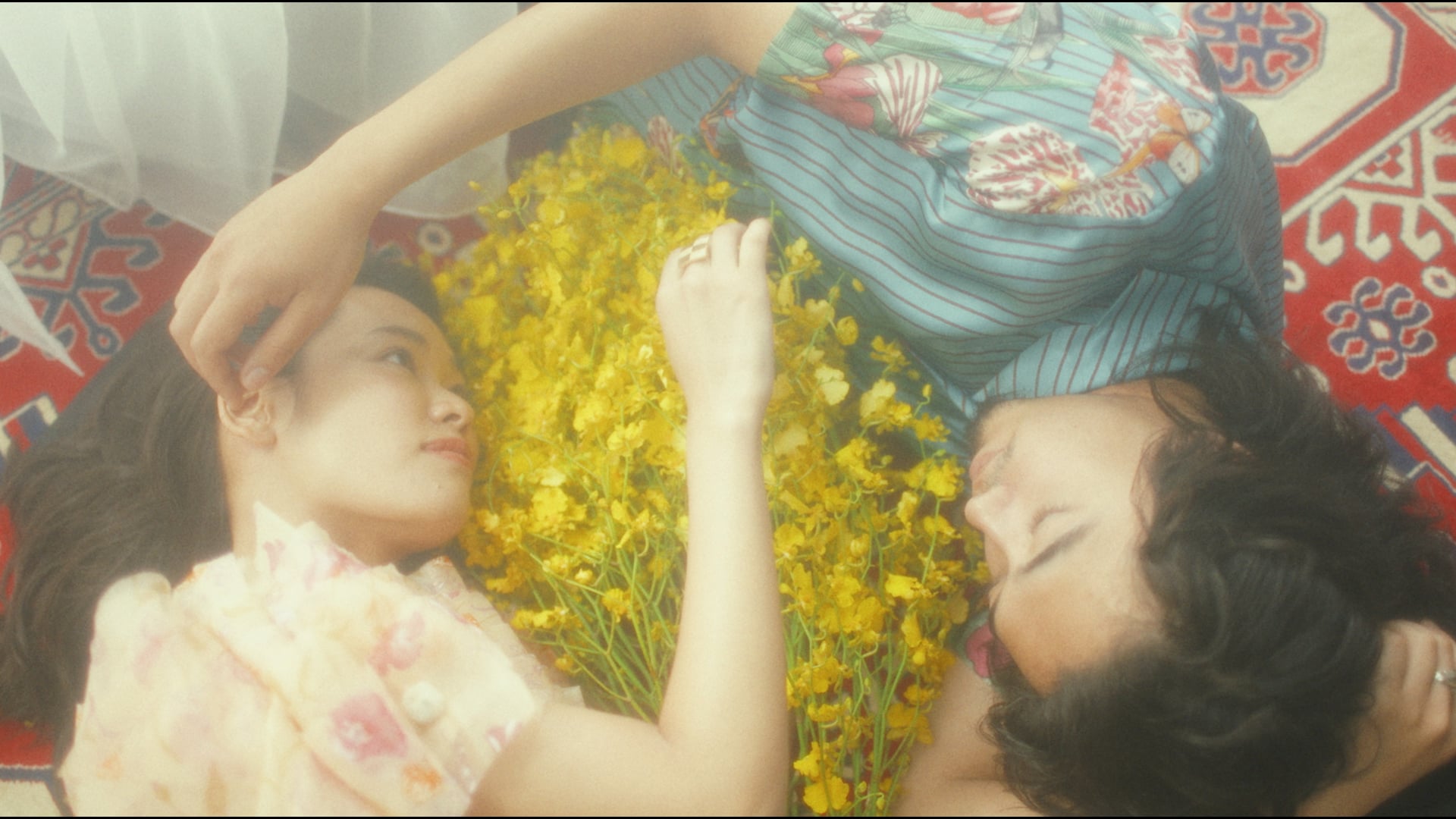 Short Film "I AM COLORS"