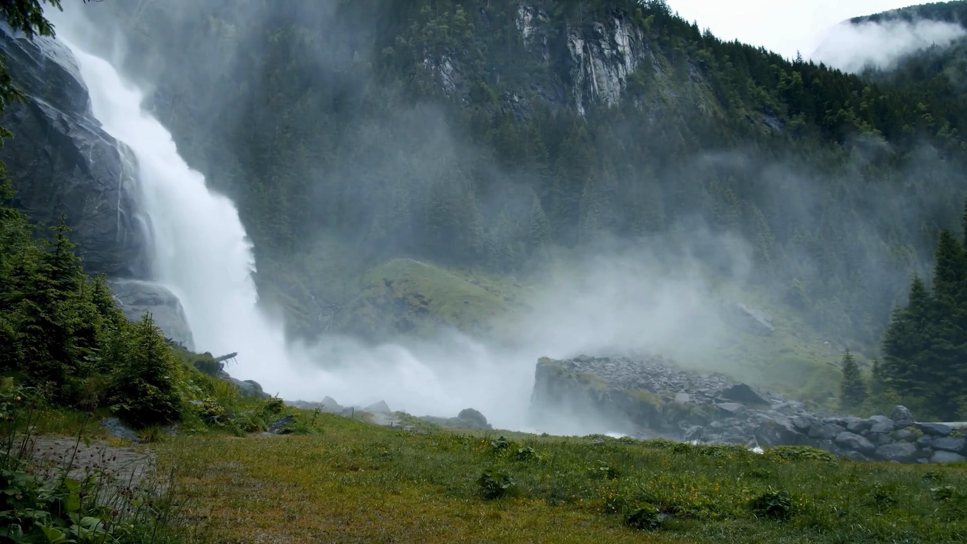 Yvonne Stedham Intro Video