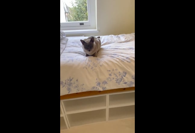 Single + sitting room; 3 min to Tube; Lovely area Main Photo