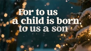 Related Embedded Video Item Thumbnail