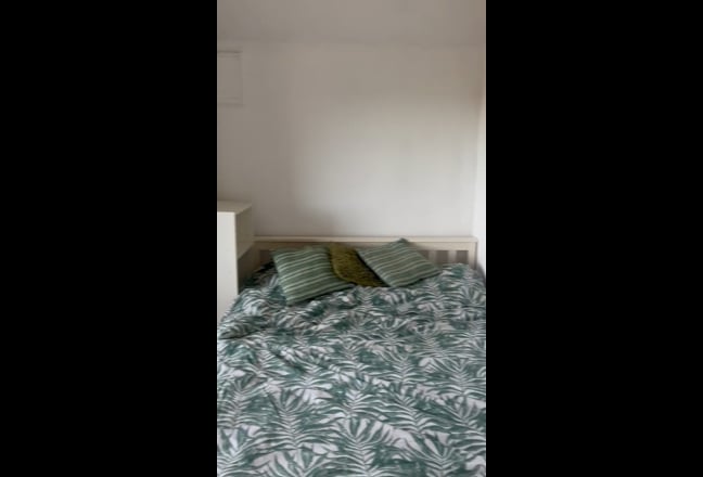 Double room in sunny house - available December  Main Photo