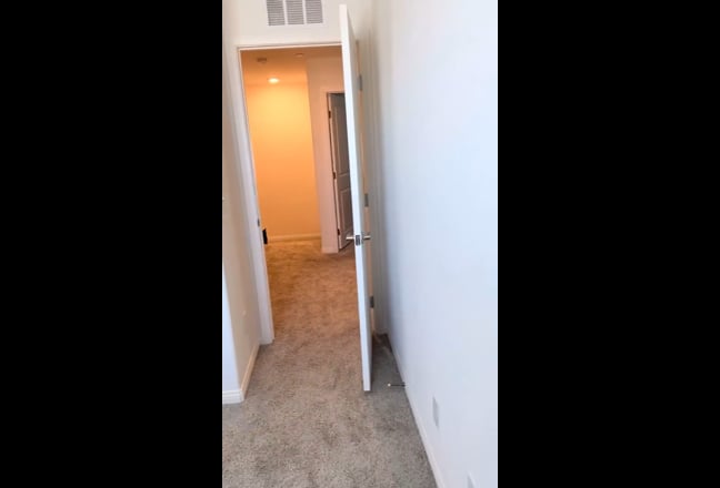 Looking for roomate Main Photo