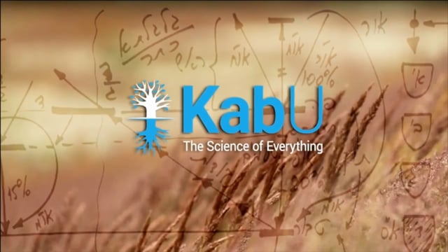 Dec 7, 2025 – Lesson #22 – The Wisdom of Connection