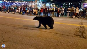 Trending Tuesday Dec 9