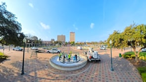 City Hall Christmas Tree Timelapse