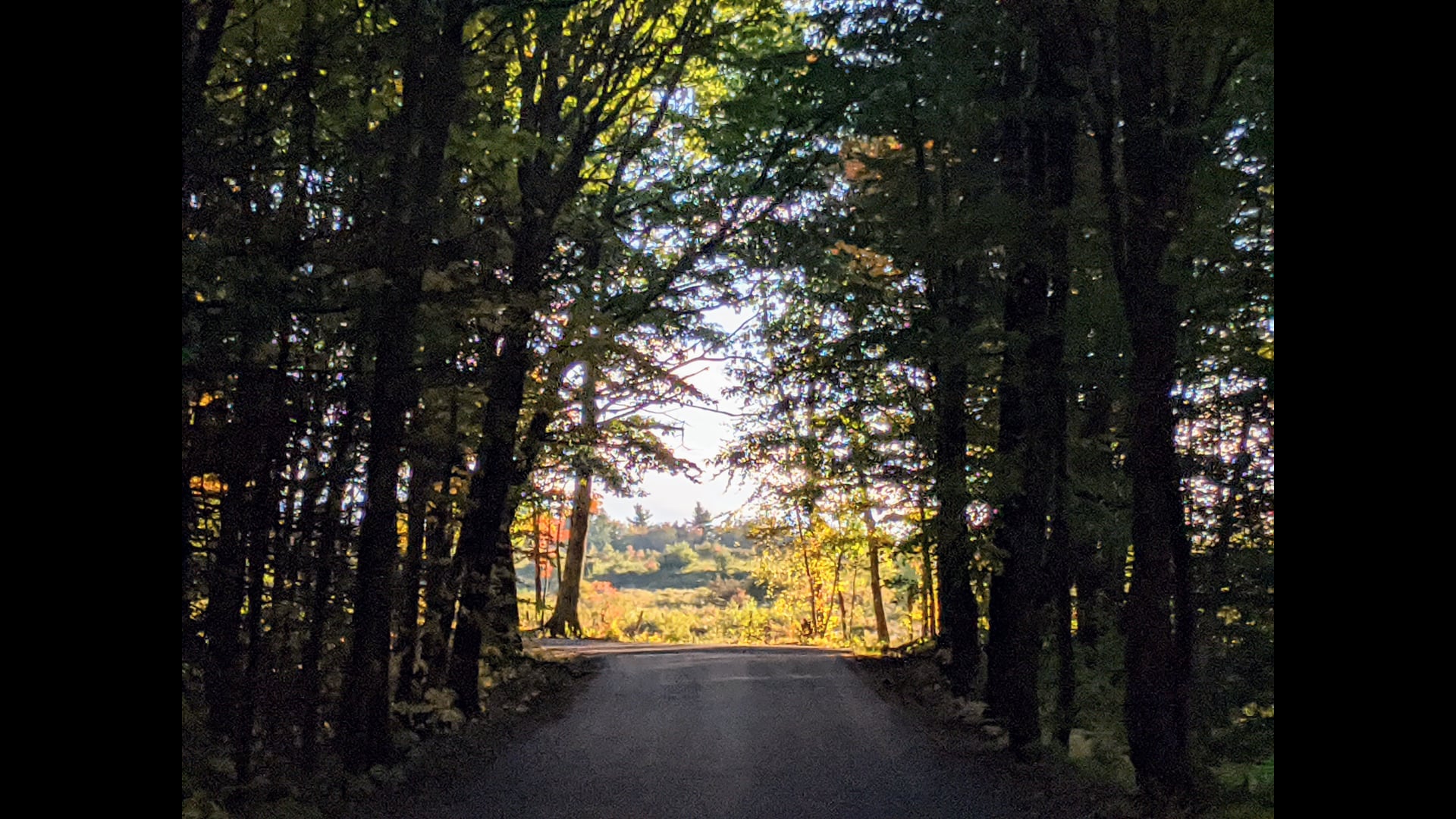 2025 November 03: Rotating Between Brahmaviharas