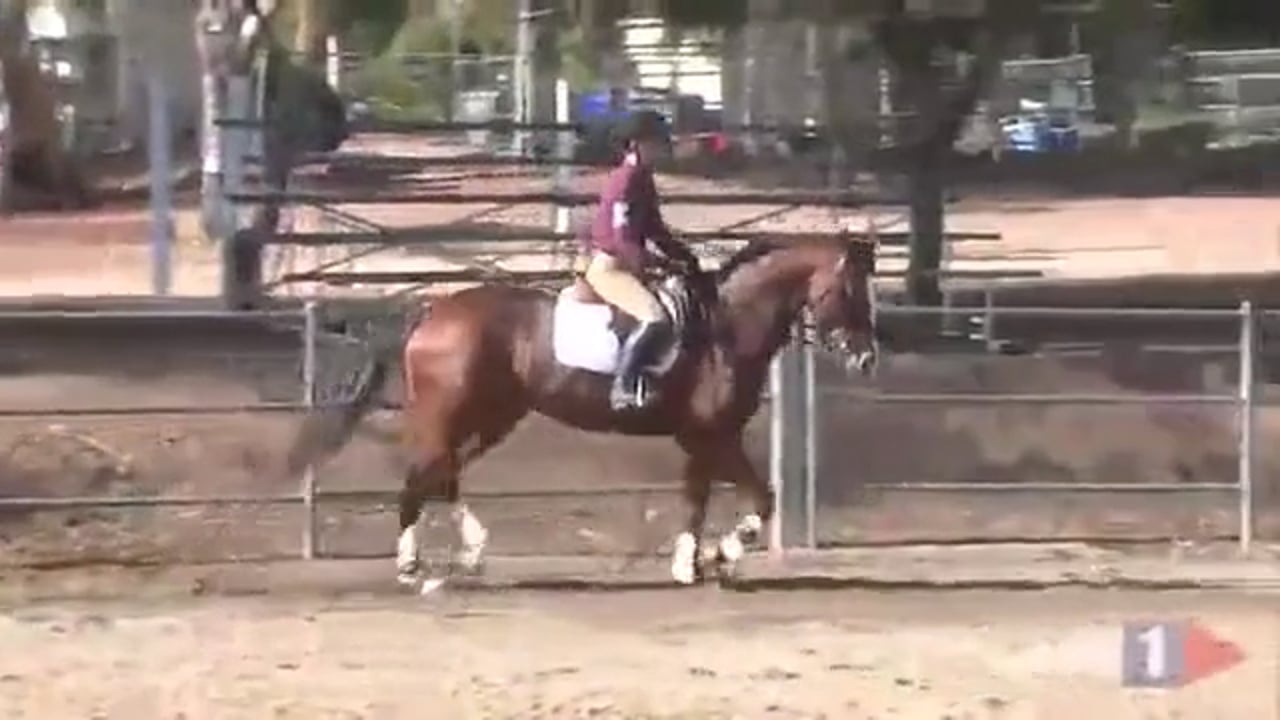 Alignment & Balance | Asia Thayer | PART 03