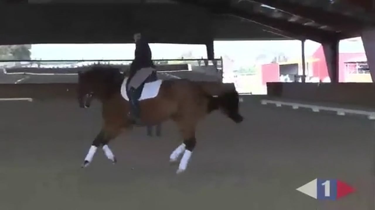 Balance | Sandy Phillips | PART 01