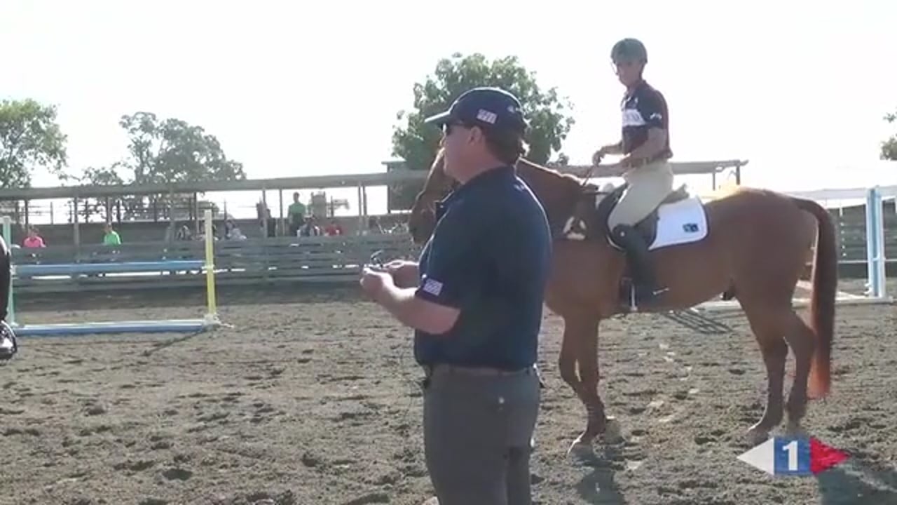 Diving Onto The Hand, Using Different Bits by Hilda Gurney