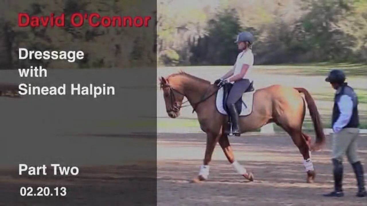 Dressage with Sinead Halpin | David O'Connor | PART 02