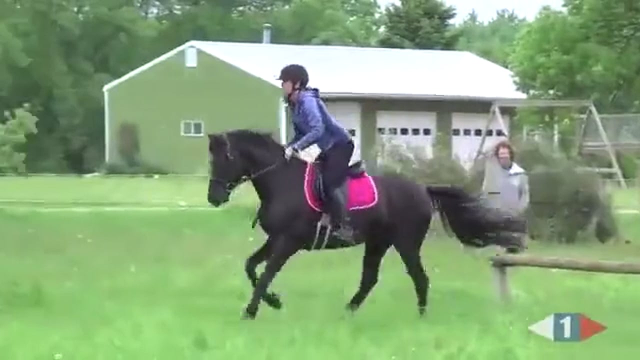 Beginner Novice | Lucinda Green | PART 06