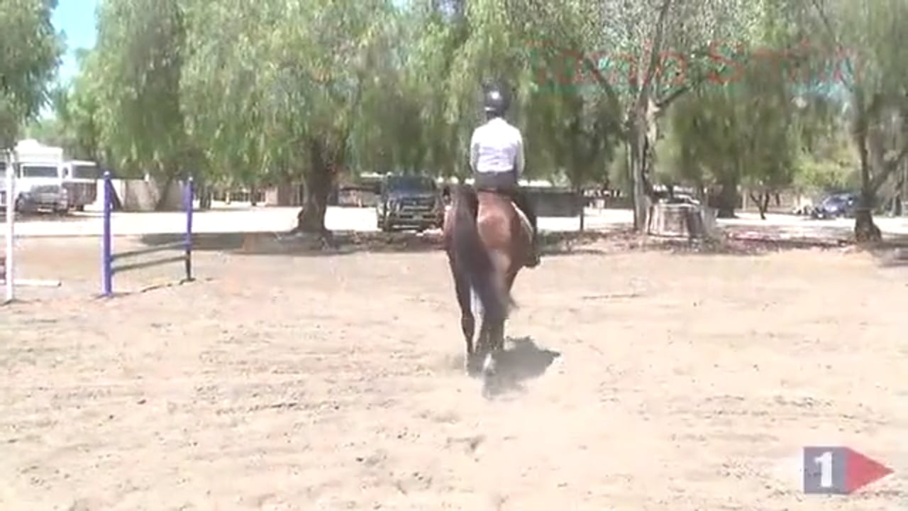 Daily Tuning For The Event Horse | Tamie Smith | PART 03