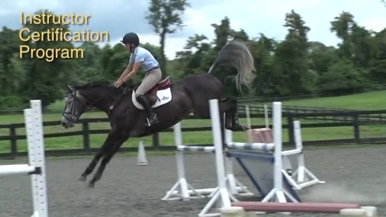 Insight into how the horse thinks and understanding his mental zones - Jan Brink