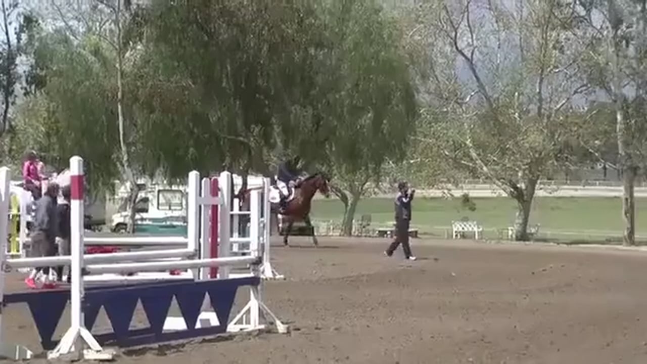 Finding the Canter Rhythm, Intro