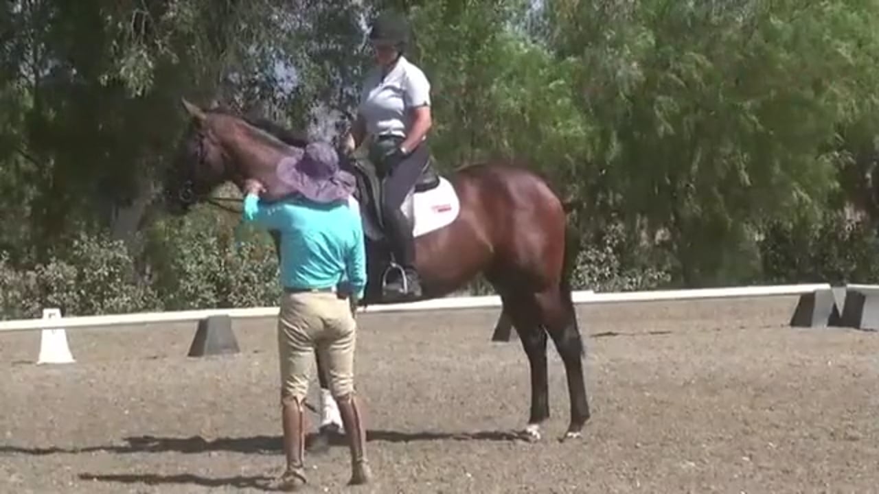 Improving the Gaits | Jane Bartle-Wilson | PART 01