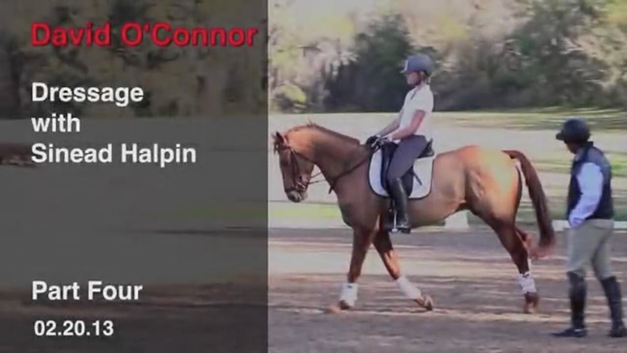 Dressage with Sinead Halpin | David O'Connor | PART 04