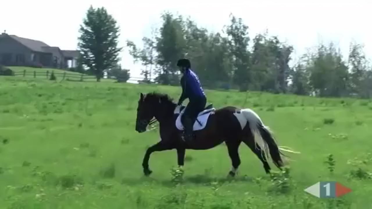 Novice Galloping Ditches | Kim Severson | PART 01