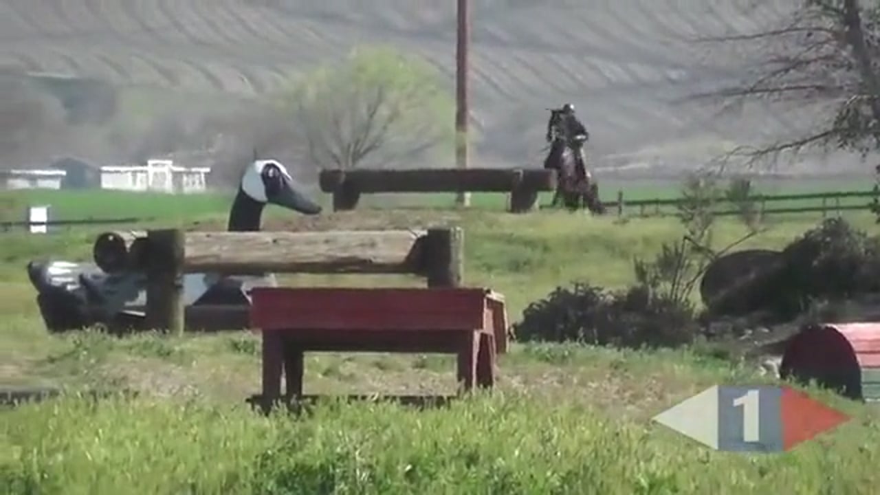 Longer Reins, Forward Riding | Andreas Dibowski | PART 03