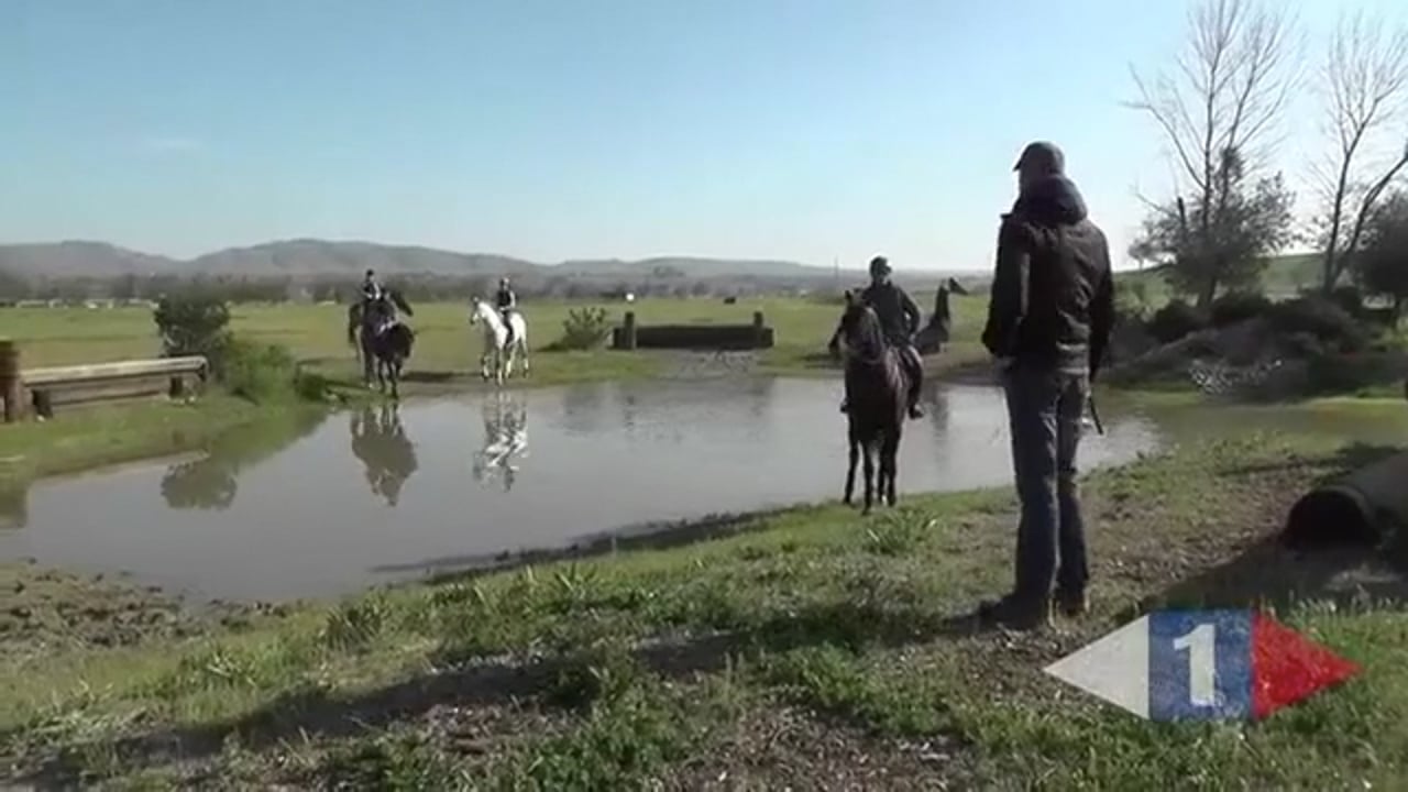 Longer Reins, Forward Riding | Andreas Dibowski | PART 01