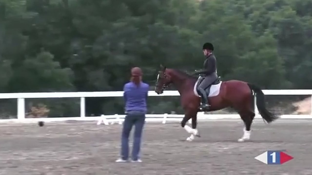 Quiet Hands | Catherine Haddad | TRAILER 01