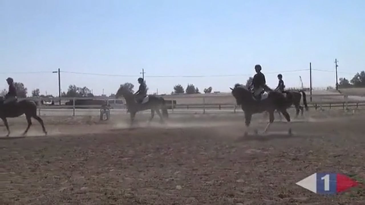 Making Your Horse Adjustable | Phillip Dutton | PART 01