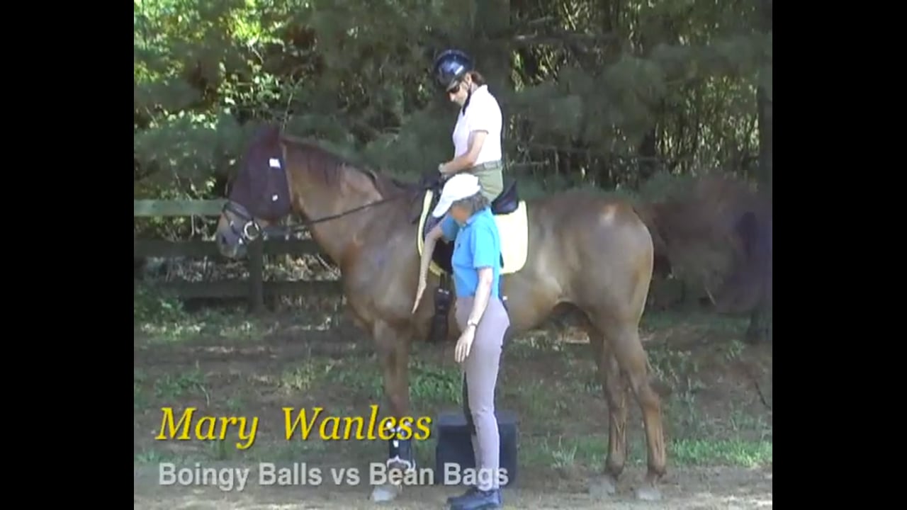 Rider Position, Boingy Balls vs Bean Bags | Mary Wanless | PART 03