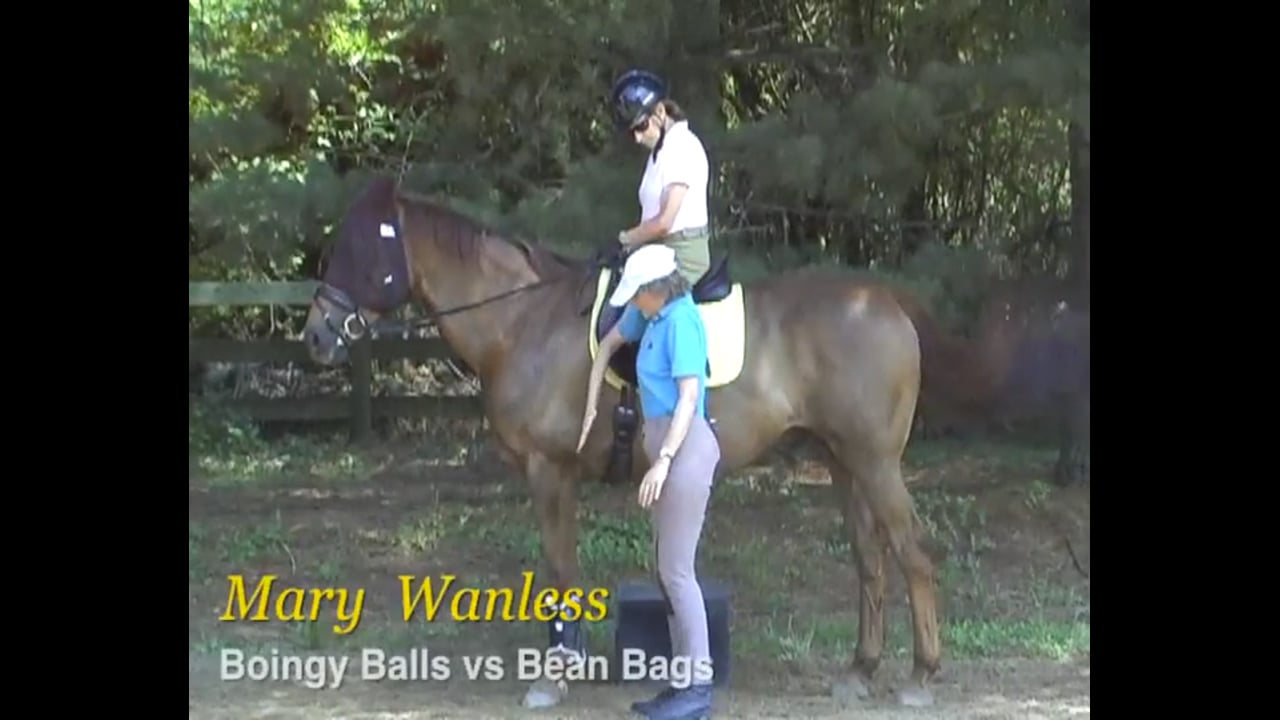 Rider Position, Boingy Balls vs Bean Bags | Mary Wanless | PART 02